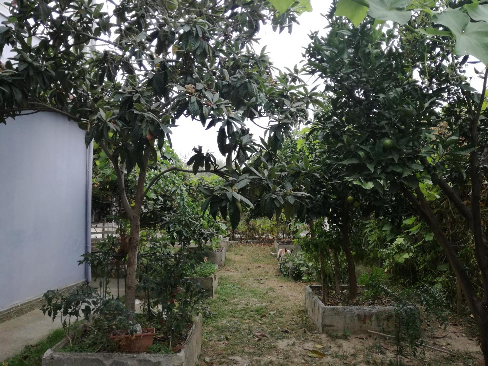 Villa Osmani Durres Exterior photo